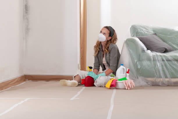 Reliable Mold Removal contractor in Harrisburg, NC by WQB Mold Removal