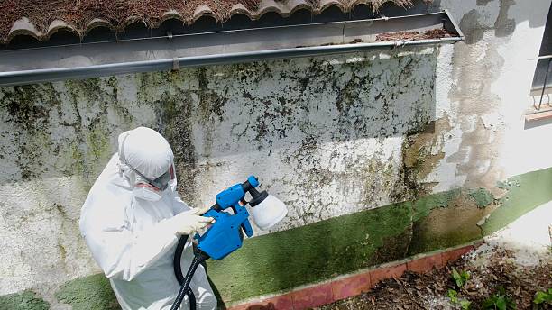 Top rated local Mold Removal specialists in Harrisburg, NC